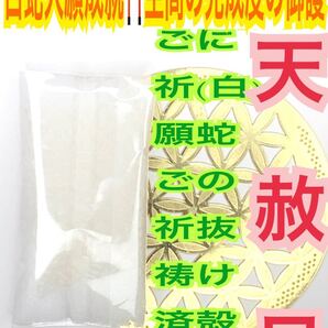 厄祓い 魔除け 神社で祓い清めた神塩 浄化祈願済み 白蛇の抜け殻 脱け殻 メモリーオイル 盛り塩 神塩 白蛇のお守り【天赦日ご祈祷済み】13