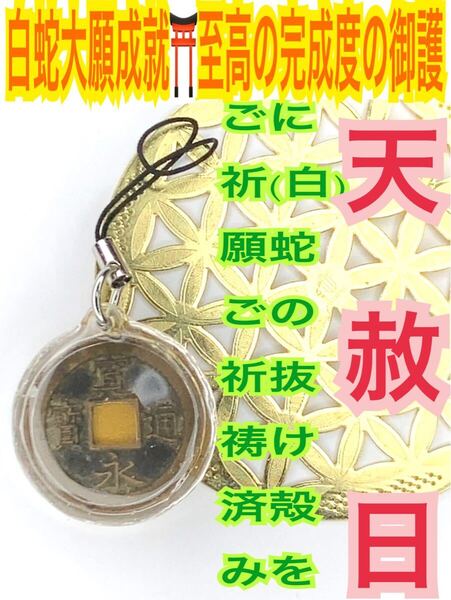 寛永通宝 ストラップ 白蛇の抜け殻 メモリーオイル 金運上昇 財運 臨時収入 古銭 種銭 福銭 白蛇のお守り【天赦日ご祈祷済み】15