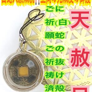 寛永通宝 ストラップ 白蛇の抜け殻 メモリーオイル 金運上昇 財運 臨時収入 古銭 種銭 福銭 白蛇のお守り【天赦日ご祈祷済み】15