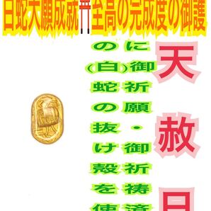 打ち出の小槌 メモリーオイル 白蛇の抜け殻 脱け殻 金運上昇 種銭 臨時収入 開運 レジン 福小判 白蛇のお守り【天赦日ご祈祷済み】14