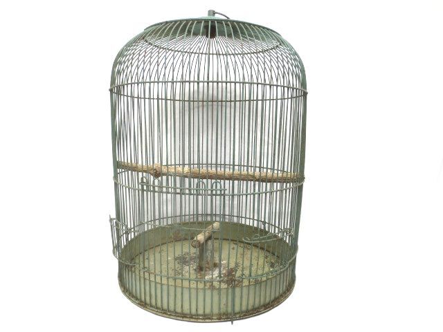 Yahoo!オークション -「メジロ 籠」(鳥かご) (鳥)の落札相場 Yahoo!オークション -「メジロ 籠」(鳥かご) (鳥)の落札相場