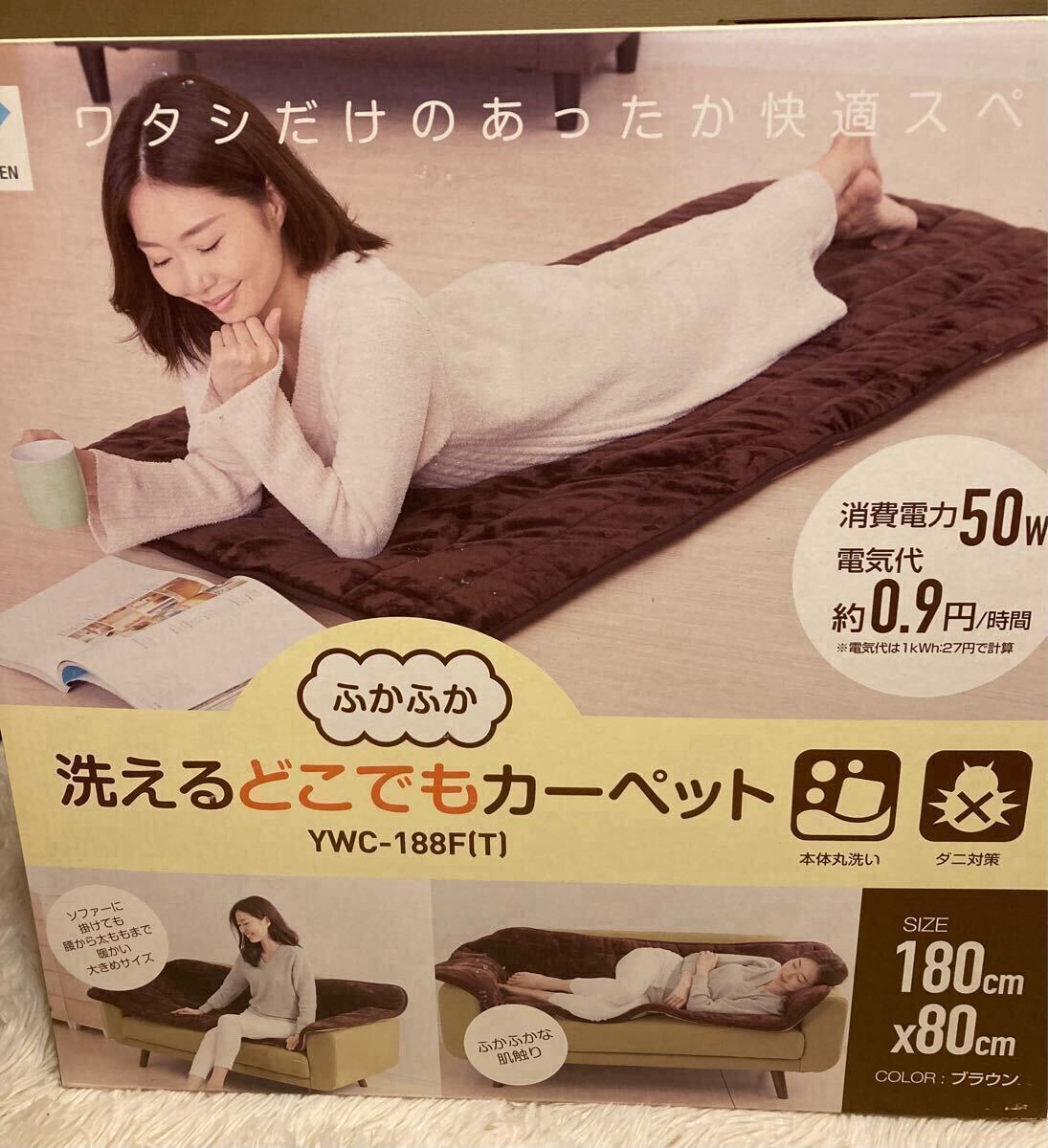 Yahoo!オークション -「洗えるどこでもカーペット」の落札相場