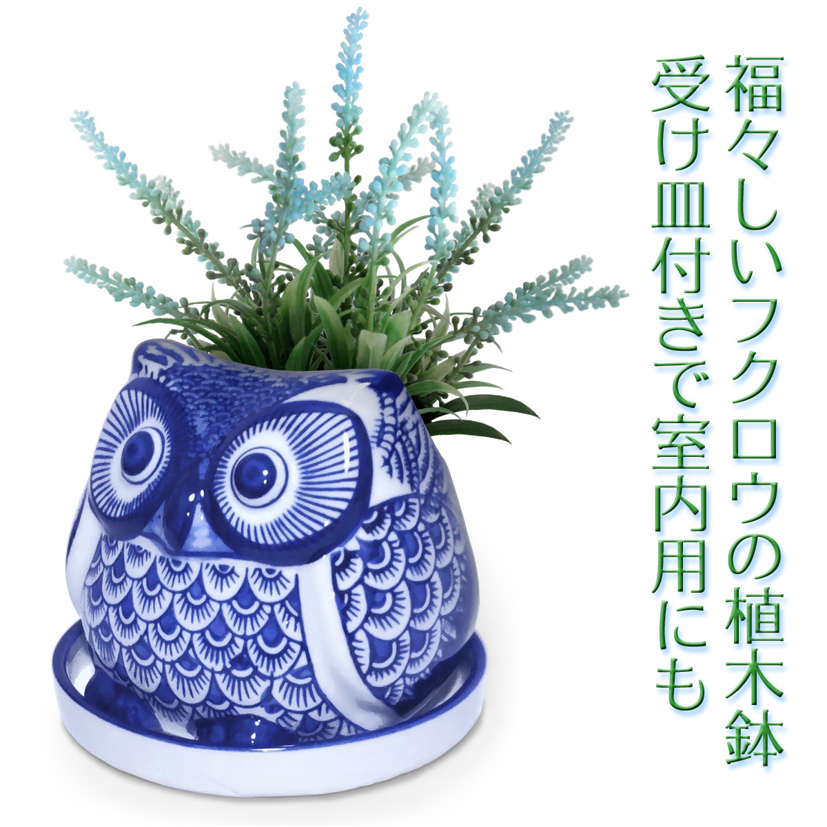 2025年最新】Yahoo!オークション -ふくろう 皿の中古品・新品 2025年最新】Yahoo!オークション -ふくろう 皿の中古品・新品