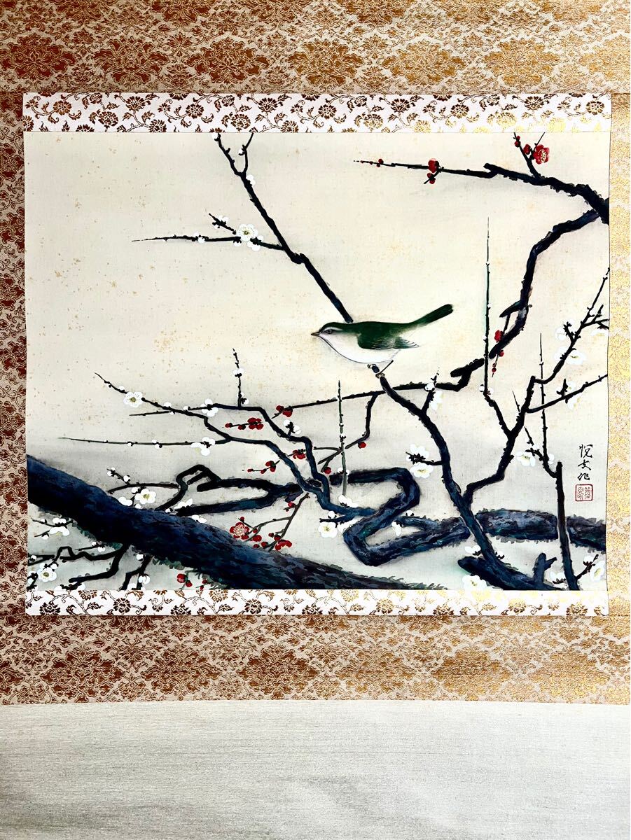 掛軸【赤富士紅白梅】日本画家 井上秀峰◇絹本肉筆 共箱付 日本