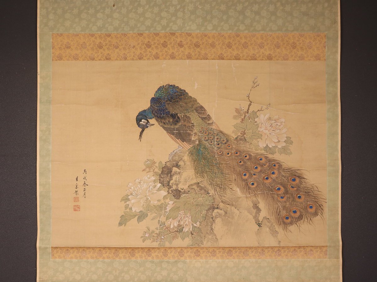 Yahoo!オークション -「掛け軸 孔雀」(花鳥、鳥獣) (日本画)の Yahoo!オークション -「掛け軸 孔雀」(花鳥、鳥獣) (日本画)の