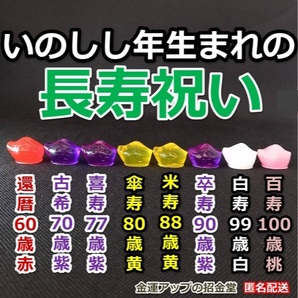 長寿祝い干支置物いのしし(還暦・古希・喜寿・傘寿・米寿・卒寿・白寿・百寿)【金運アップの招金堂】還暦祝い 赤いちゃんちゃんこ/紫/22