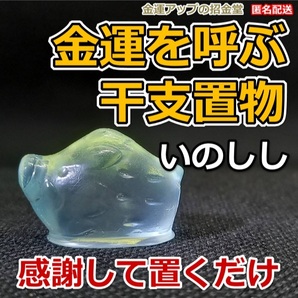 感謝して置くだけ 金運を呼ぶ干支置物『いのしし(猪・亥)』【金運アップの招金堂】金運アップ置物 風水開運グッズ 金運最強お守り 0005