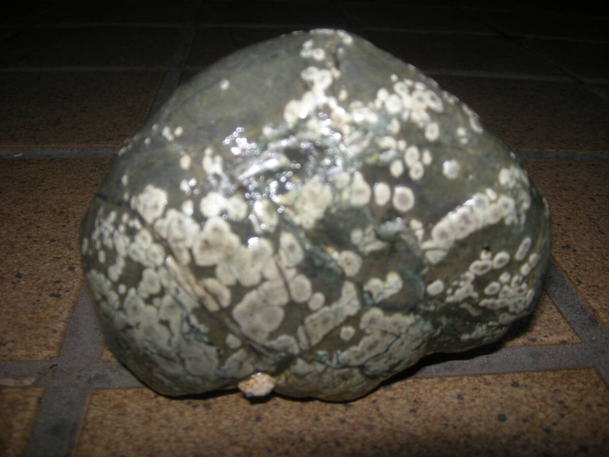 鑑賞石 流紋岩 約25㎏ 原石 飾石 水石 天然石 (R2352nxY) - 置物、オブジェ