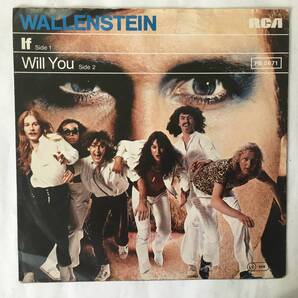 WALLENSTEIN IF ドイツ盤