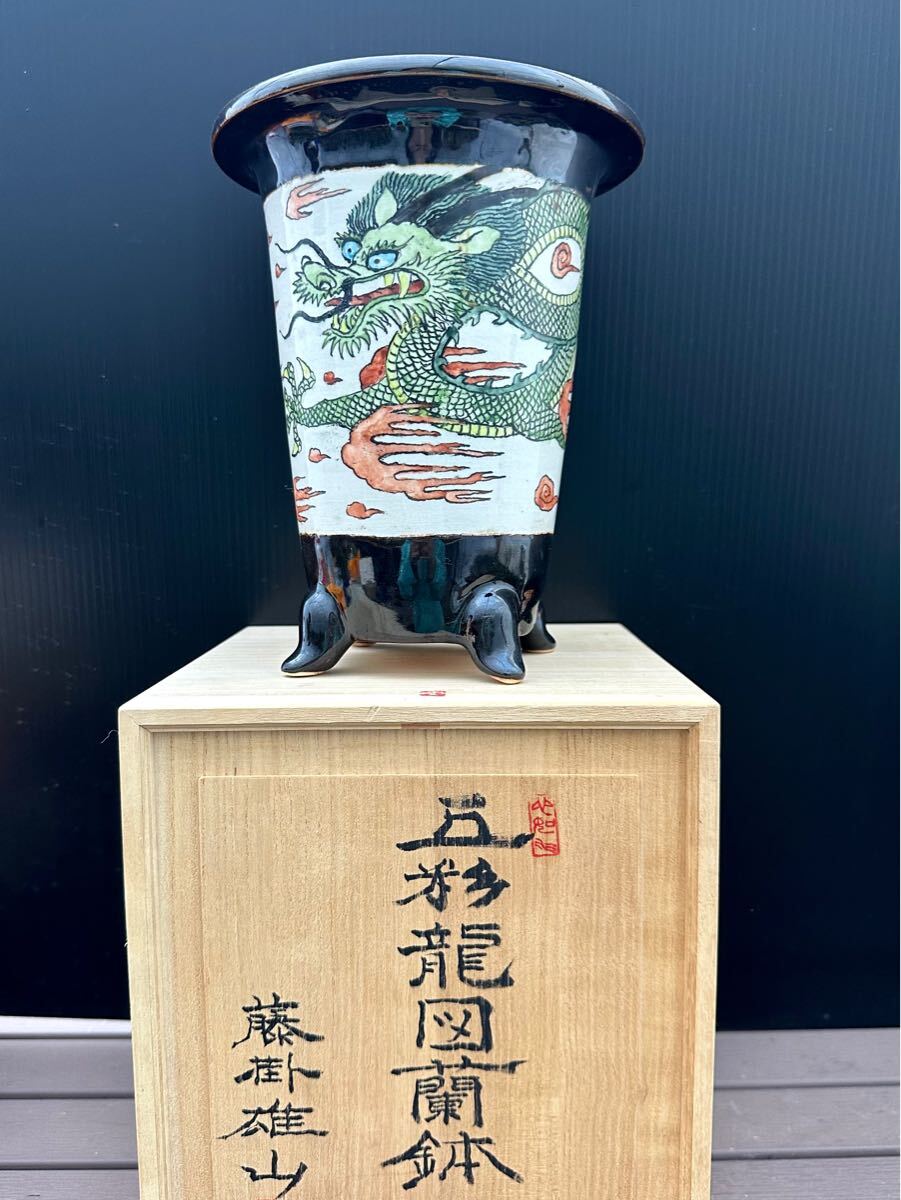 【最新入荷】 Yahoo!オークション -「藤掛雄山」(盆栽) の落札相場・落札価格 盆栽