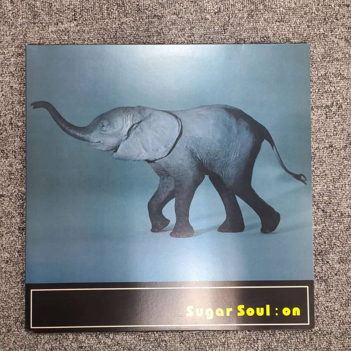 定番 -「sugar Yahoo!オークション soul の落札相場・落札価格 on」(音楽) 邦楽