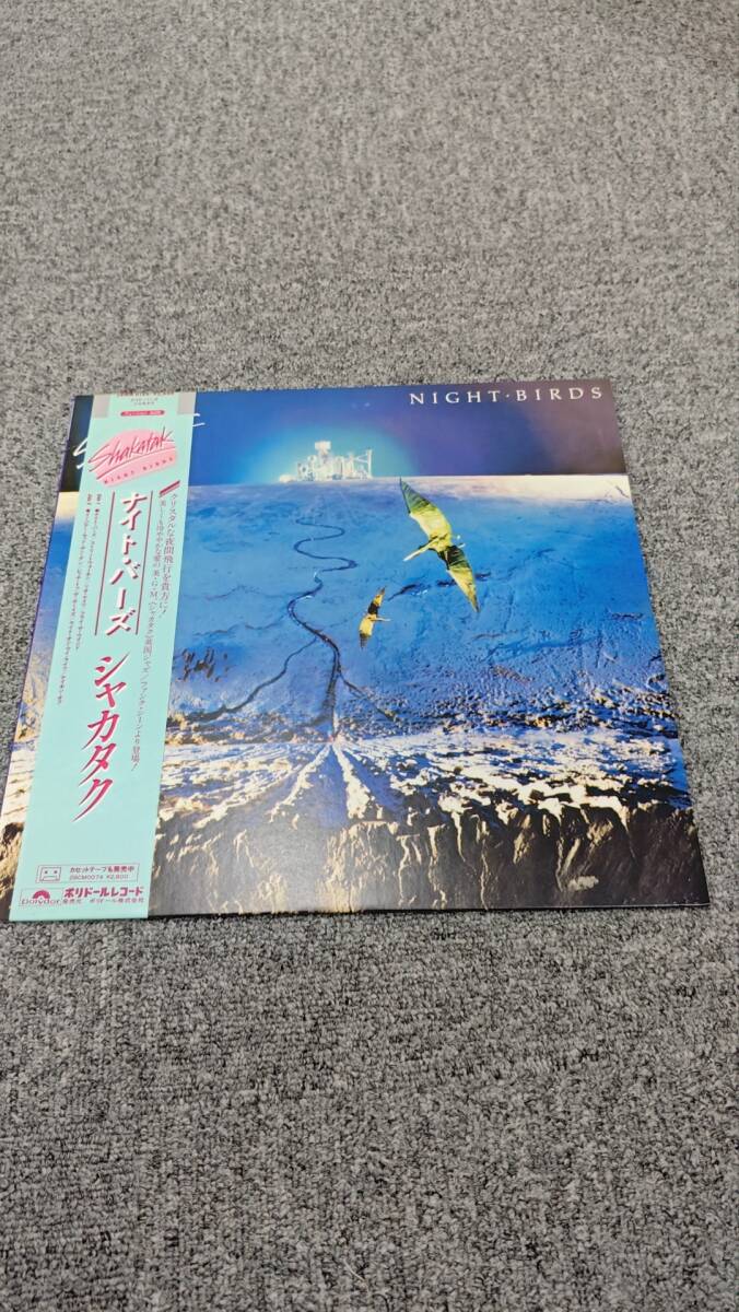 2025年最新】Yahoo!オークション -shakatak night birds 2025年最新】Yahoo!オークション -shakatak night birds
