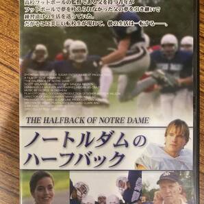 美しい転校生が現れて、彼の生活は一転する レネ・ボニエール監督作品 ガブリエル・ホーガン主演 ノートルダムのハーフバック DVD