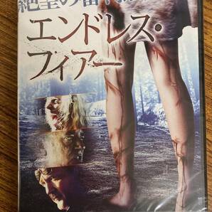 地中に生き埋めにされた複数の男女… アンソニー・ピアース脚本・監督作品 マイケル・マドセン出演 エンドレス・ フィアー DVD