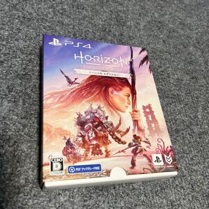 PS4 ホライゾン スペシャルエディション