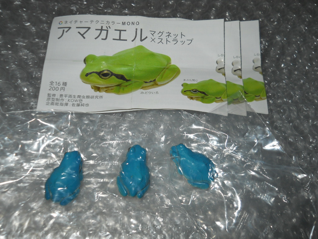本店は 2025年最新】Yahoo!オークション -アマガエル マグネットの中古 生き物