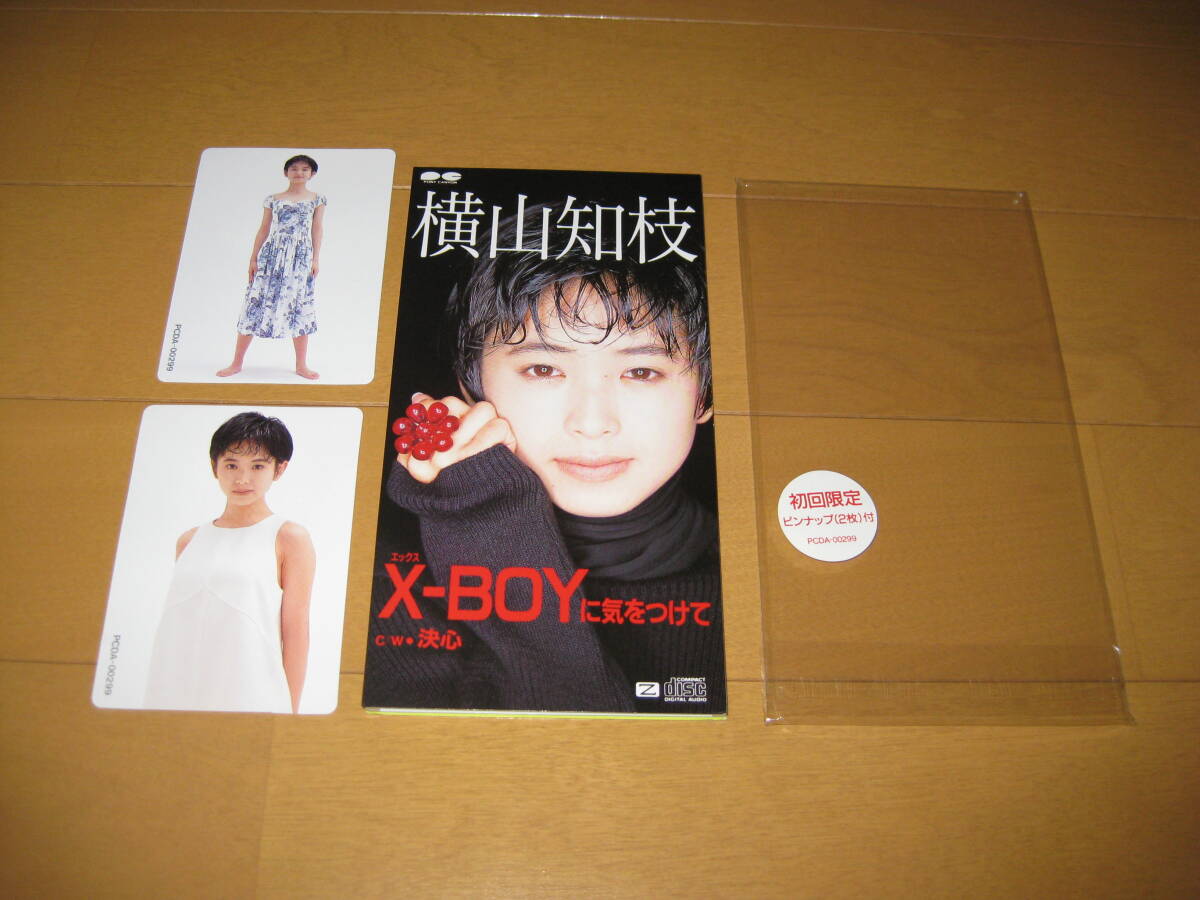 MyこれLite 横山知枝 アルバム 山田邦子 尾崎亜美 竹内まりや KAN 2025年最新】Yahoo!オークション -横山知枝(や行)の中古品・新品