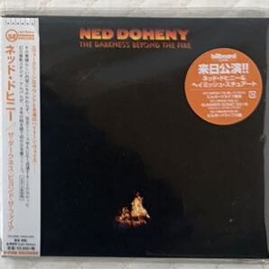 国内盤!Ned Doheny / ネッド・ドヒニー / THE DARKNESS BEYOND THE FIRE / ザ・ダークネス・ビヨンド・ザ・ファイア