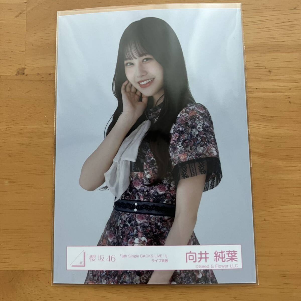 2025年最新】Yahoo!オークション -向井純葉の中古品・新品・未 2025年最新】Yahoo!オークション -向井純葉の中古品・新品・未
