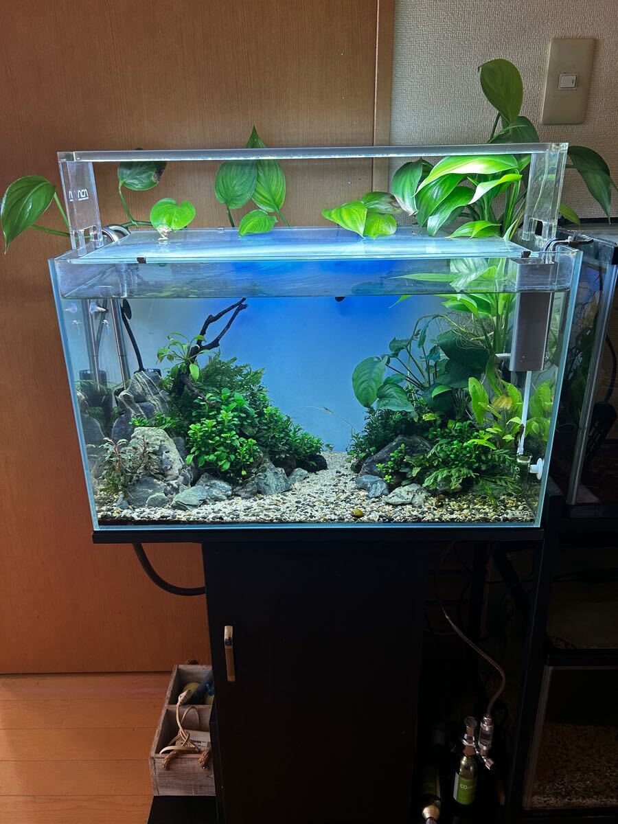 Yahoo!オークション -「ada 水槽 60cm」の落札相場・落札価格 Yahoo!オークション -「ada 水槽 60cm」の落札相場・落札価格