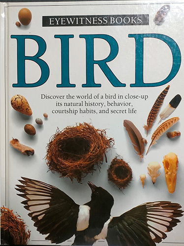 送料無料!【BIRD】「Eyewitness Books」 Discover the world of a bird in close-up