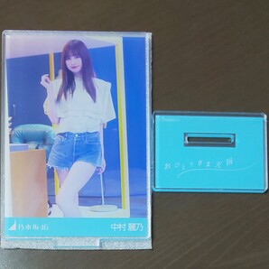 乃木坂46 中村麗乃 おひとりさま天国 Web限定 アクリルスタンド 乃木コレ アクスタ
