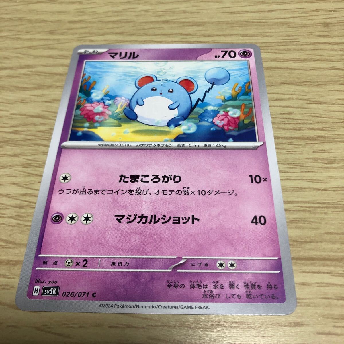 Yahoo!オークション -「ポケモン マリル」(トレーディングカード Yahoo!オークション -「ポケモン マリル」(トレーディングカード