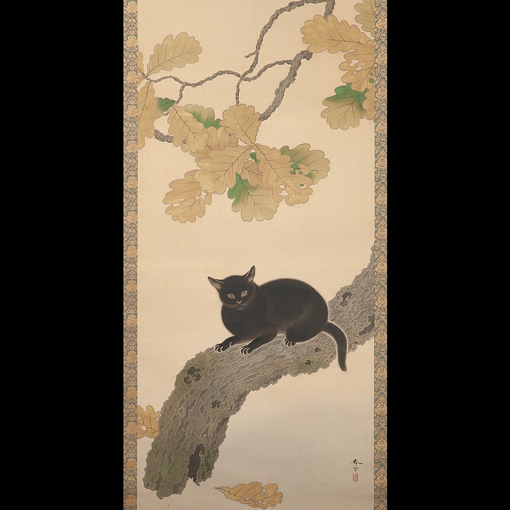 Yahoo!オークション -「掛け軸 猫」(花鳥、鳥獣) (日本画)の落札 Yahoo!オークション -「掛け軸 猫」(花鳥、鳥獣) (日本画)の落札