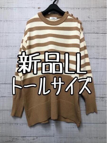 新品☆LLトールサイズ♪キャメル系マリンボーダー♪綿混ニット♪爽やか♪☆s252