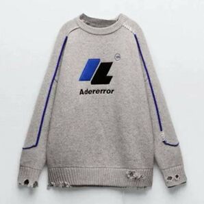 ZARA ADERERROR オーバーサイズセーター ニット s-m