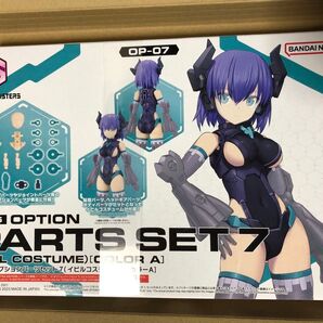 30MS イビルコスチューム