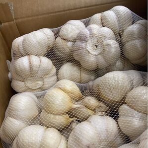 青森県にんにく2Kg L