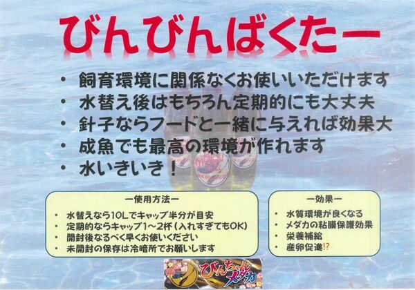 びんびんバクター2リットル めだかのエサ 稚魚のエサ 水質向上 越冬に