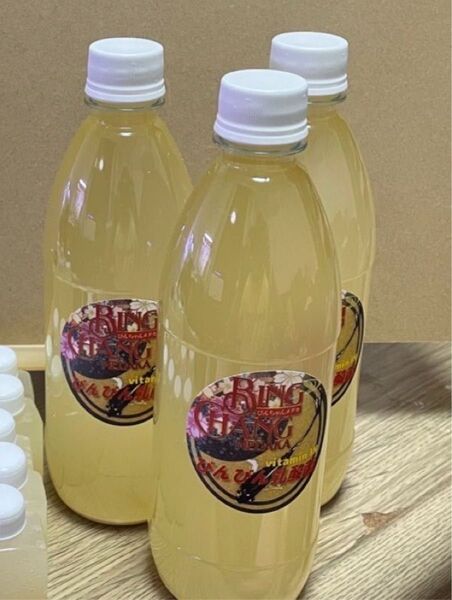 びんびんバクター500ml×2(針子の餌、水質改善、越冬時の餌)水質浄化 めだか psb メダカ