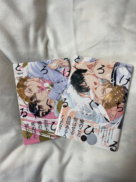 BL漫画まとめ4冊 BLコミック BL 服従と甘噛み とろけるくちびる こっちにおいでオオカミさん