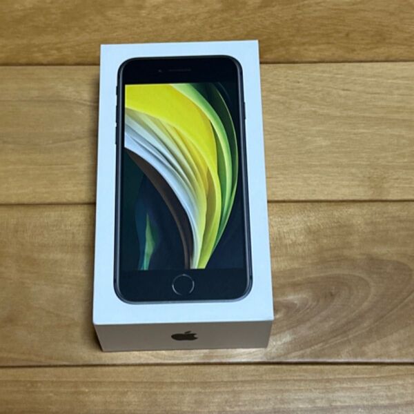 iPhone SE 空箱 イヤホン付き
