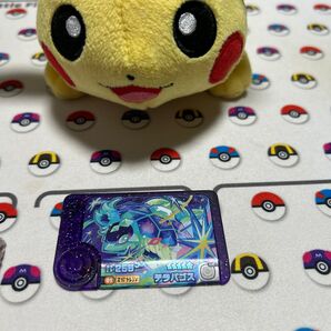 ポケモンフレンダピック テラパゴス。
