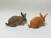 フレミッシュジャイアント 2種 ウサギ チョコＱ タカラ 中古組立済み食玩フィギュア レア 絶版_画像2