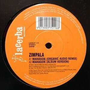 12inch レコード　ZIMPALA / MAHAGON