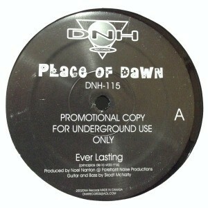 12inch レコード　NOEL NANTON / PLACE OF DAWN