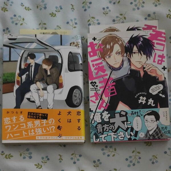 『恋する犬はよく転ぶ』かつらぎ、『君はお医者さん』丼丸、2冊売り