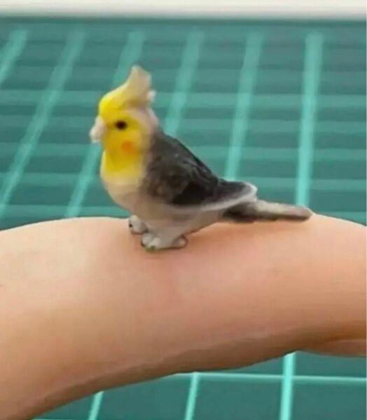 ミニチュア インコ フィギュア リアルフィギュア 1/64より大 ドールハウスに リカちゃんに ジオラマに 鳥 完成品