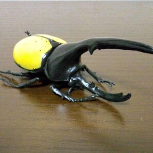 リアル昆虫 ヘラクレスオオカブト ビッグサイズ