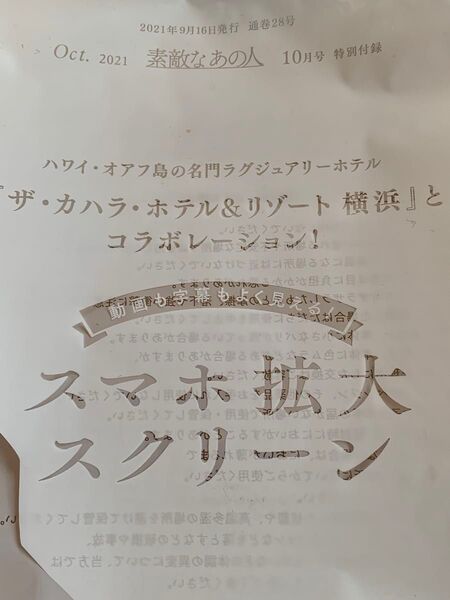 付録 スマホ拡大スクリーン