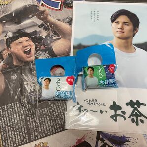 大谷翔平 伊藤園 クリアファイル お~いお茶 ペットボトルカバー