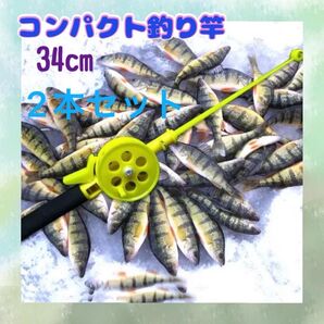 855短竿 コンパクト 氷釣り 子供 女性 海釣り川釣り コンパクトロッド 釣り竿