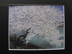 Art hand Auction Norio Funamizu, 【fleurs de cerisier】, peintures de livres d'art rares, Cadre neuf de haute qualité avec cadre, Bonne condition, livraison gratuite, peinture, peinture à l'huile, Nature, Peinture de paysage