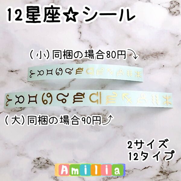 12星座 ×(大小) 計24 シール ステッカー ゴールド 光沢 高品質 レジン封入 ネイルシール クリア地×ゴールド文字