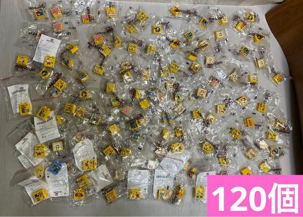 新品未使用品 LEGOLAND ブロック 限定 120個
