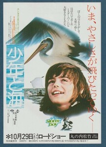 チラシ■1977年【少年と海】[ A ランク ] 丸の内松竹 館名入り/アンリ・サフラン グレッグ・ロウ ピーター・カミングス